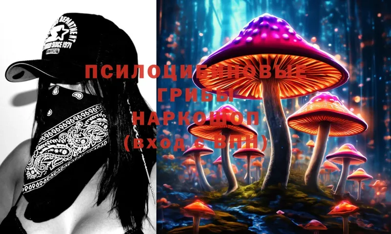 наркота  Мосальск  Псилоцибиновые грибы MAGIC MUSHROOMS 